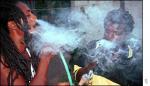 madinina pliss foss